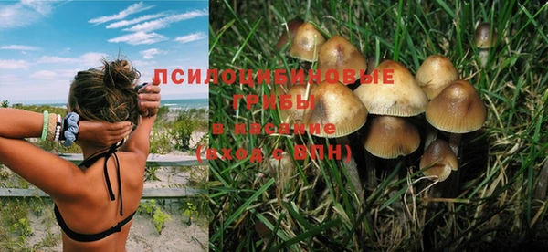 крисы Белокуриха